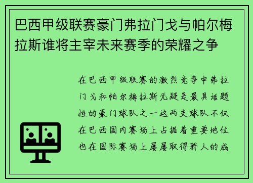 巴西甲级联赛豪门弗拉门戈与帕尔梅拉斯谁将主宰未来赛季的荣耀之争