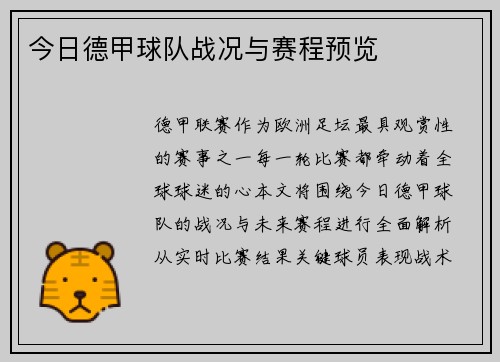 今日德甲球队战况与赛程预览