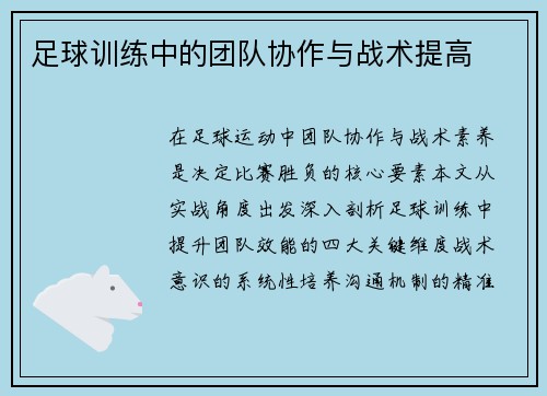 足球训练中的团队协作与战术提高